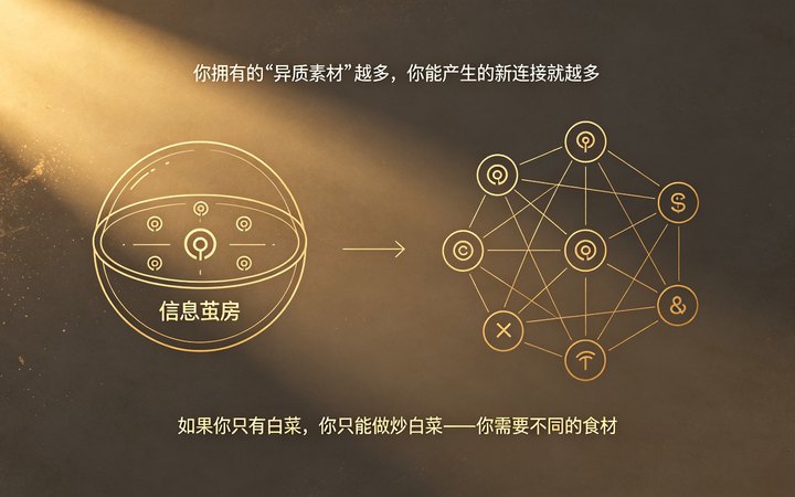 第六季 打破能力茧房