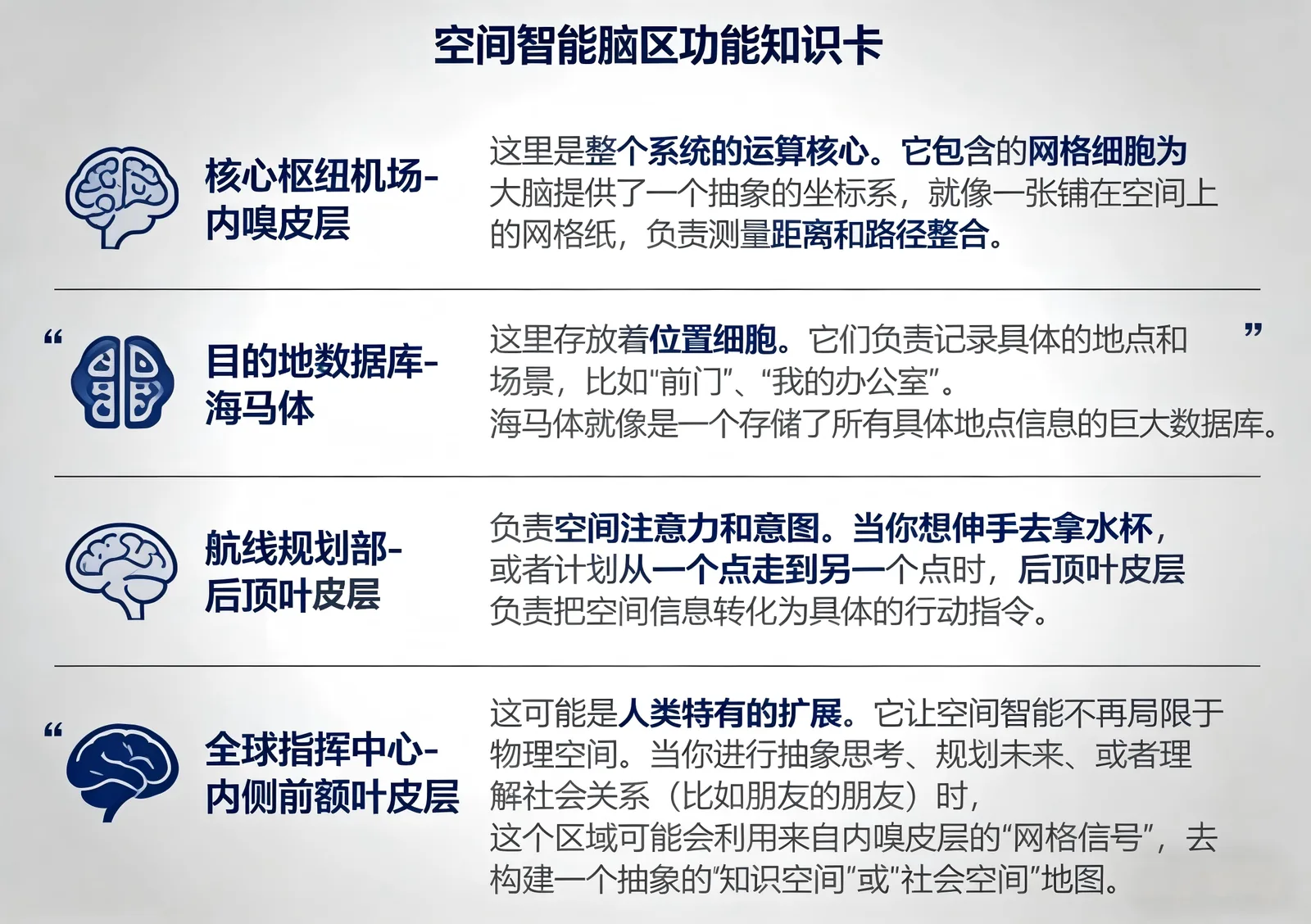  空间智能是否与全脑高度相关？