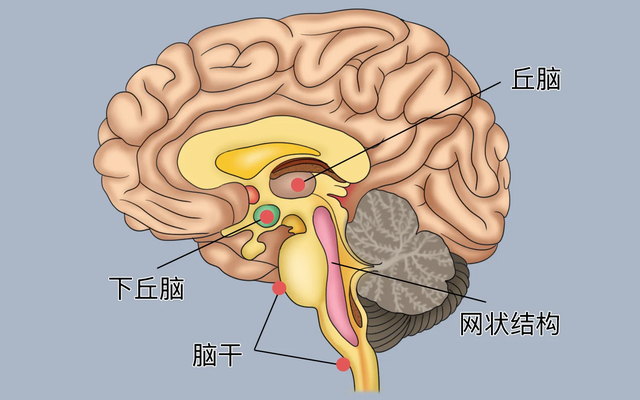 精神内耗预防与改善 —— 神经可塑法