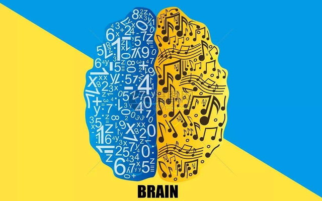 当青春期遇到脑科学