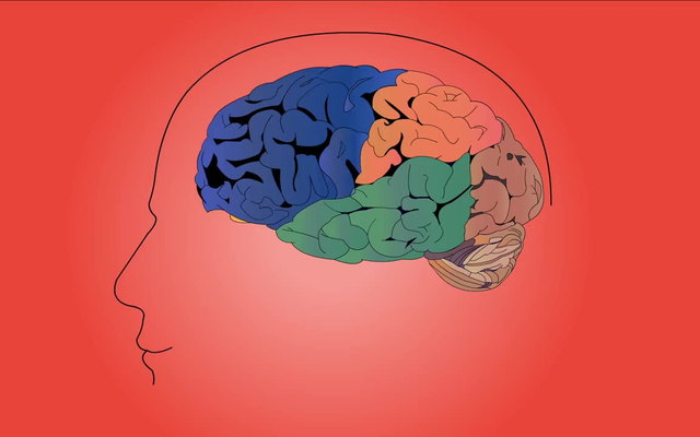 脑科学与心理健康