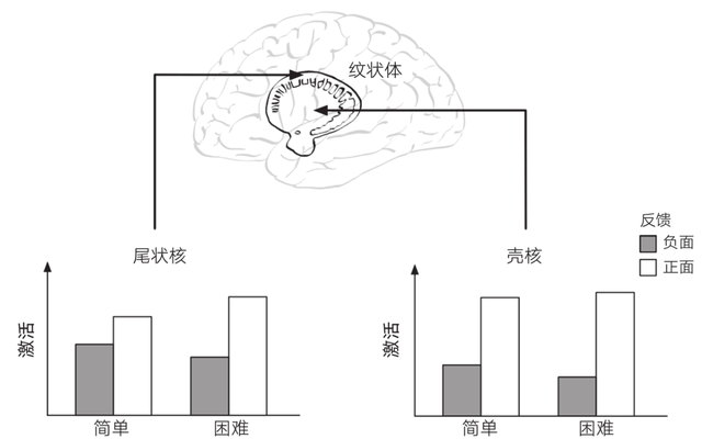 脑科学与学习方法(激活大脑)